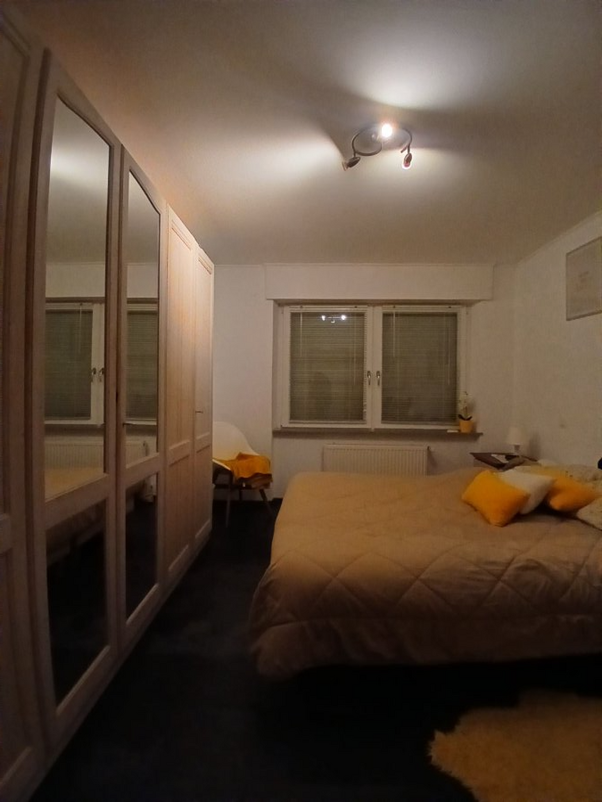 Image 8
